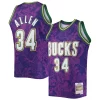 Comodo Classico Incantevole Ray Allen Milwaukee Bucks Hardwood Classics 2000/01 Lunar New Year Swingman Jersey Purple