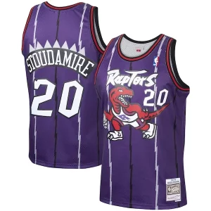 Eccezionale Damon Stoudamire Toronto Raptors 1995/96 Hardwood Classics Swingman Jersey Purple
