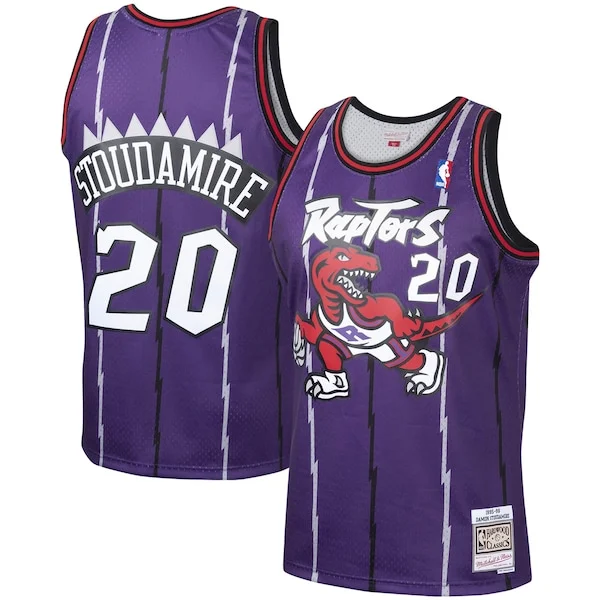 Eccezionale Damon Stoudamire Toronto Raptors 1995/96 Hardwood Classics Swingman Jersey Purple