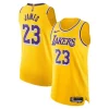 Fantastico Carino Gorgeous LeBron James Los Angeles Lakers Nike Authentic Jersey Icon Edition Gold