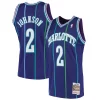 Raffinato Larry Johnson Charlotte Hornets 1994/95 Hardwood Classics Swingman Jersey Purple