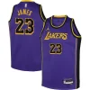 Raffinato LeBron James Los Angeles Lakers Jordan Brand Youth Performance Swingman Jersey Statement Purple