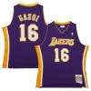 Trendy Delizioso Pau Gasol Los Angeles Lakers 2009/10 Hardwood Classics Swingman Jersey Purple