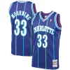 Trendy Robusto Stupendo Alonzo Mourning Charlotte Hornets 1994/95 Hardwood Classics Swingman Jersey Purple
